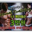 육체미 휘트니스 이미지