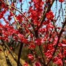 무양성(무한성) 이미지