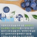 블루베리 효능 : 치매예방 외 6가지 및 , 보관법 이미지