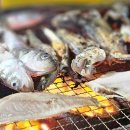내돈내산 속초맛집 노포감성 가득! 속초 동명항 오징어난전 🦑