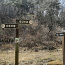 호암농장 티스토리