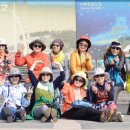 제주도토리 이미지