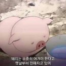 간짜장에 공기밥한그릇이면 칼로리 몇나올까요 이미지