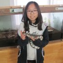 J.K 서교태권도 이미지