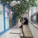 아주맑은소아청소년과의원 이미지