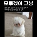 유한회사 럭키환경 | 누구나 맛집 할인받고 먹을 수 있는 럭키밀(Luckymeal)어플 솔직후기+당첨 꿀팁