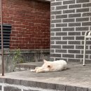 파이프 호스텔 이미지