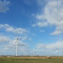 디엠에스 이미지