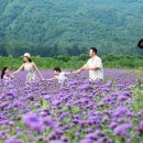 부동산생활법률 이미지