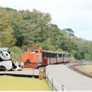 테마건강랜드 이미지