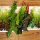 다라물농장 이미지