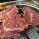 고기바보 이미지