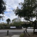 애견천국 | 제주 포토존천국 산양큰엉곶 애견동반 후기