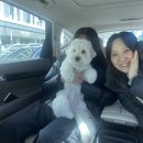 방배로 162 이미지