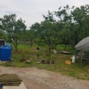 정주농장 이미지