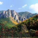 볼빨간 농원 이미지