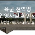 솔루션(SOLUTION) 번역행정사 이미지