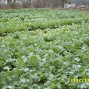 어유중학교 이미지