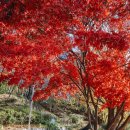논산여행 연산면 동네한바퀴: 논산가볼만한곳