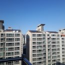 태양이엔에스(주)