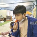 용인딸기체험 쌍둥이농원 카트끌며 수확하니 신나네