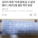 노인과 강아지 이미지