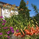 청안농장 이미지