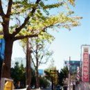 [필름일지] #03 코닥 컬러필름 엑타 100-36 / Kodak Ektar 100