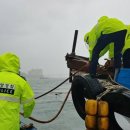 완도12호 이미지