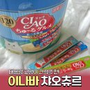 3621 | 이나바 챠오츄르 구루메 버라이어티 대용량 고양이 간식 120P 내돈내산 후기