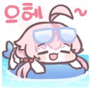 블루아라 이미지