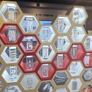 기생충박물관 | 아이랑 갈만한곳 강서구 어린이 박물관 기생충박물관 체험