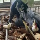 신안갈전마을 이미지