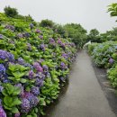 동광리-7 이미지