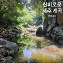 구암약수터 | 제주도 드라마 촬영지 신비한 제주 안덕 계곡 주차 및 소요시간