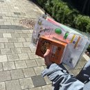 닛시오일마트주유소 | 성수기 문 닫으러 방문한 10월의 밴프 여행기_1.캘거리 도착편