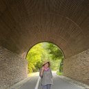 제천 리솜 포레스트 숲캉스 이미지