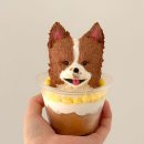 프프프 스토어 이미지