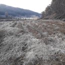 덕산면043 이미지