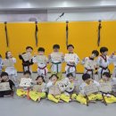 한울타리태권도장 이미지