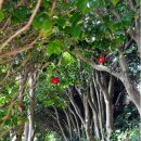 휴먼&카 이미지