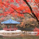제동경로당 네이버블로그