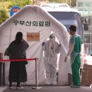 샤이나 오피스텔 이미지