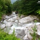 하늘빛소나무펜션 이미지