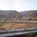 다미농장 이미지