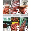 자연식탁 이미지