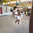 경희 태권 히어로즈 이미지