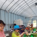 대연2농장 이미지