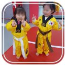 KTC태권도장 이미지