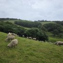 우산목장 이미지